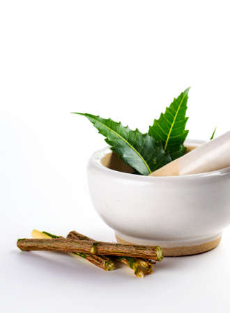 Mortar and pestle with medicinal neem leaves on white backgroundの写真素材