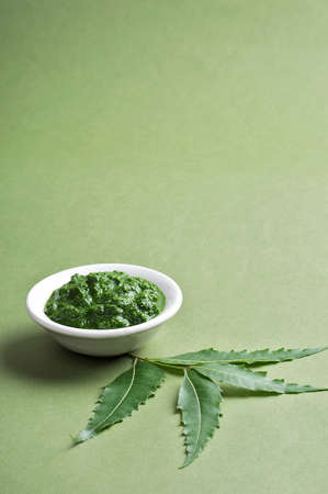 Medicinal Neem leaves with paste in bowl on green backgroundの写真素材