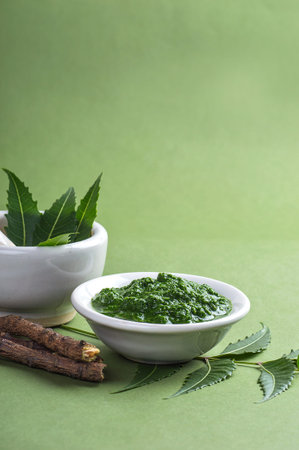 Medicinal Neem leaves in mortar and pestle with paste and twigs on green backgroundの写真素材