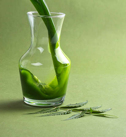 Medicinal Neem juice and leavesの写真素材