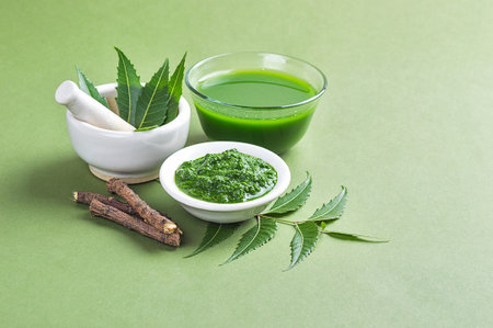 Medicinal Neem leaves in mortar and pestle with neem paste, juice and twigs on green backgroundの写真素材