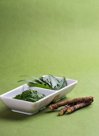 Medicinal Neem leaves paste and leaves with twigs on green backgroundの写真素材
