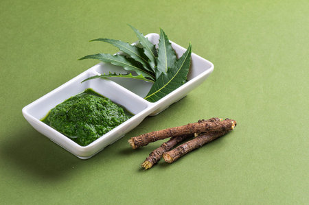 Medicinal Neem leaves paste and leaves with twigs on green backgroundの写真素材