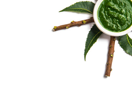 Medicinal Neem leaves with paste in bowl and twigs on white backgroundの写真素材