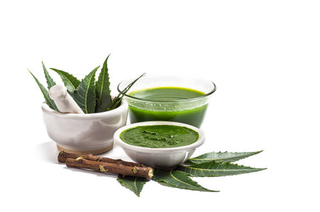 Medicinal Neem leaves in mortar and pestle with neem paste, juice and twigs on white backgroundの写真素材