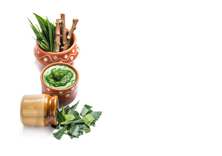 Medicinal Neem leaves with paste and twigs on white backgroundの写真素材