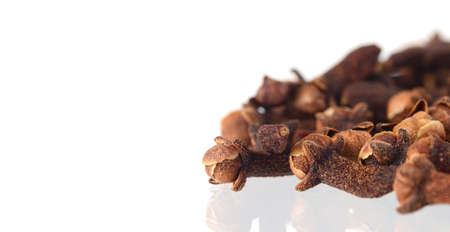 Cloves isolated on white backgroundの写真素材