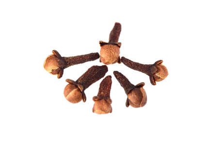 Cloves isolated on white backgroundの写真素材