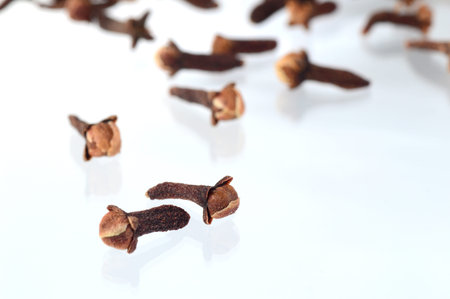 Cloves isolated on white backgroundの写真素材