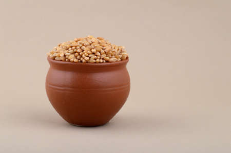 Wheat grains in clay potの写真素材