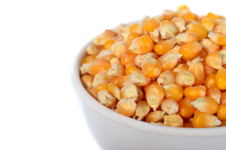 Dried corn in bowl