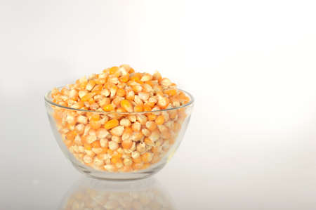 Dried corn in bowlの写真素材