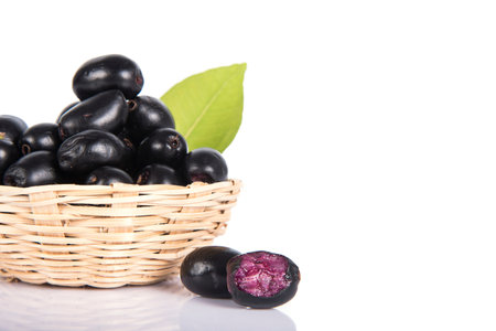 Jambolan plum or Java plum (Syzygium cumini)の写真素材