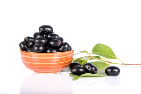 Jambolan plum or Java plum (Syzygium cumini)の写真素材