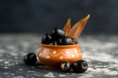Jambolan plum or jambul or Jamun fruit, Java plum (Syzygium cumini) with leaf on stone textured background.の写真素材