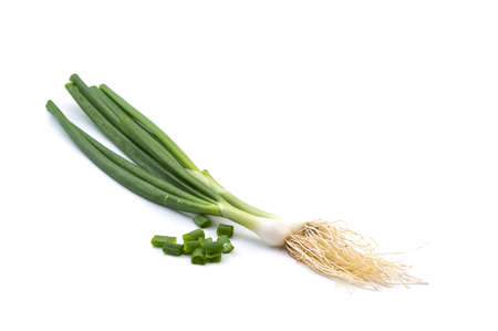 Fresh ripe green spring onions (shallots or scallions) on white backgroundの写真素材