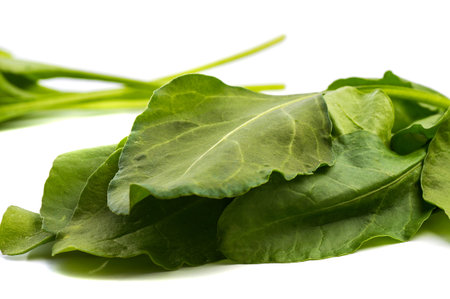 Close up of fresh green spinach isolated on white background