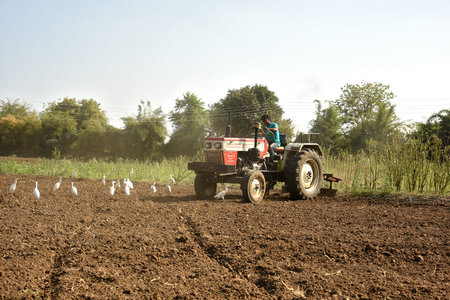 AMRAVATI, MAHARASHTRA, INDIA - 03 FEB 2017: Unidentified farmer in tractor preparing land for sowing with seedbed cultivator.のeditorial素材