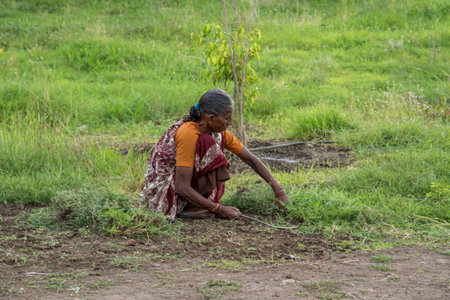 AMRAVATI, MAHARASHTRA, INDIA, JULY - 5, 2017: Unidentified woman worker working in the field, Gardening scene at park, woman worker cutting unwanted grass from garden.のeditorial素材