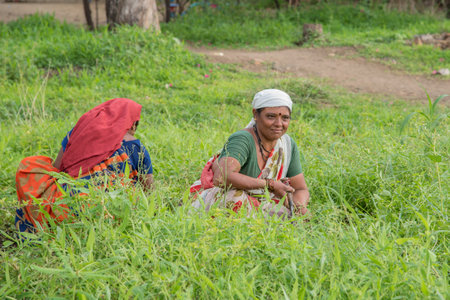 AMRAVATI, MAHARASHTRA, INDIA, JULY - 5, 2017: Unidentified woman worker working in the field,...