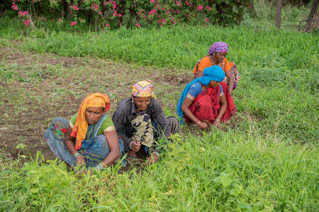 AMRAVATI, MAHARASHTRA, INDIA, JULY - 5, 2017: Unidentified woman worker working in the field,...