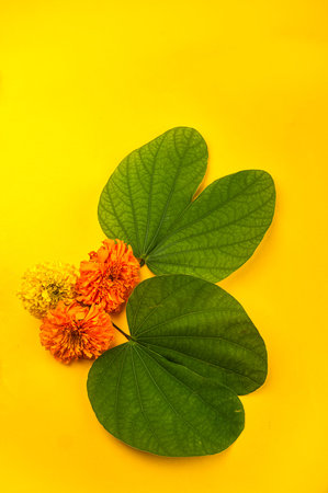 Indian Festival Dussehra, showing golden leaf (Bauhinia racemosa) and marigold flowers on a yellow...