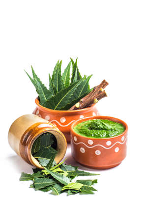 Medicinal Neem leaves with paste and twigs on white backgroundの写真素材