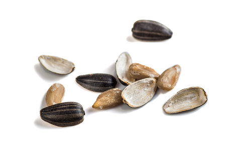 Sunflower Seeds on white background. Helianthus annuus.