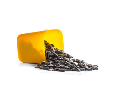 Sunflower Seeds in container on white background. Helianthus annuus.