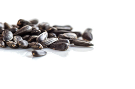 Sunflower Seeds on white background. Helianthus annuus.