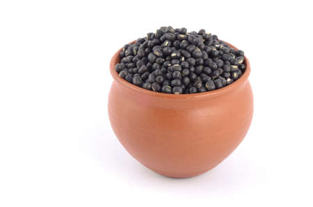 Urad dal, black gram, Vigna mungo in clay pot on white backgroundの写真素材