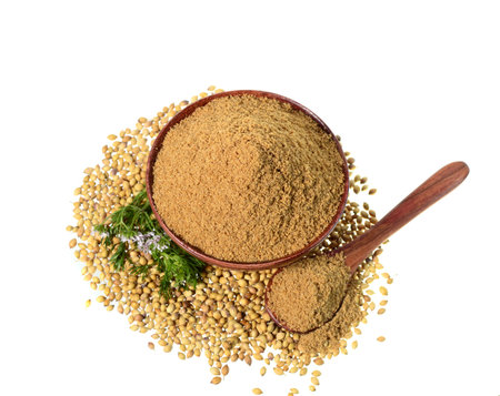 Coriander seeds, Fresh Coriander and Powdered coriander isolated on white background.