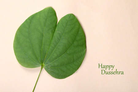 Indian Festival Dussehra, showing golden leaf . Greeting card.の写真素材