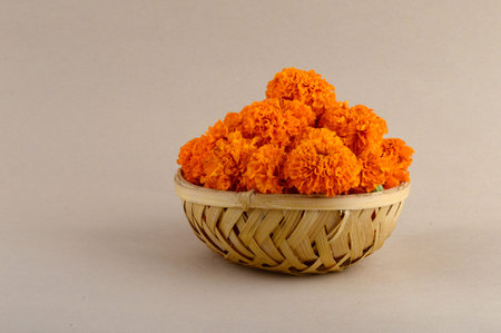 Marigold (Zendu Flowers) flowers in a bamboo basket.の写真素材