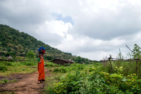 Beautiful Landscape with trees and mountain.の写真素材