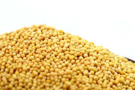 Yellow Mustard Seeds on a white backgroundの写真素材