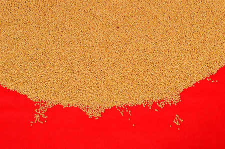 Yellow Mustard Seeds on red background