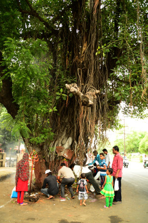 NAGPUR, MAHARASHTRA, INDIA - AUGUST 01 : People worship of Snake God in "Nag Panchami" festival. It is traditional worship of snakes or serpents observed by Hindus in Nagpur, India on 01 August 2014のeditorial素材