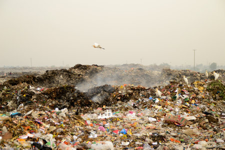 Big garbage land. Land and air pollution.のeditorial素材