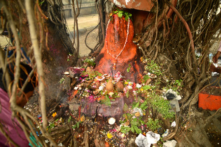 NAGPUR, MAHARASHTRA, INDIA - AUGUST 01 : People worship of Snake God in "Nag Panchami" festival. It is traditional worship of snakes or serpents observed by Hindus in Nagpur, India on 01 August 2014のeditorial素材