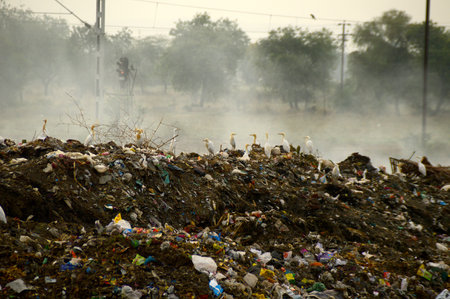 Big garbage land. Land and air pollution.のeditorial素材