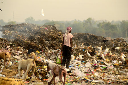 AMRAVATI, MAHARASHTRA, INDIA - APRIL 09, 2014: Unidentified rag pickers search for recyclable material in the garbage. Land and air pollution in India on April 09, 2014, Amravati, India.のeditorial素材