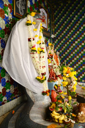 NAGPUR, MAHARASHTRA, INDIA - AUGUST 01 : People worship of Snake God in "Nag Panchami" festival. It is traditional worship of snakes or serpents observed by Hindus in Nagpur, India on 01 August 2014のeditorial素材