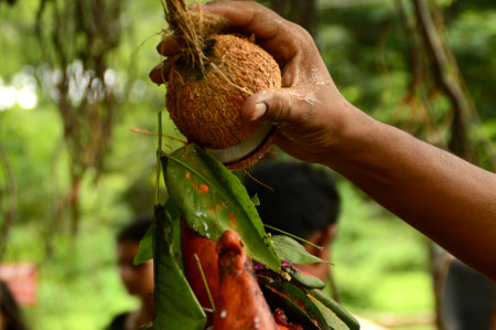NAGPUR, MAHARASHTRA, INDIA - AUGUST 01 : People worship of Snake God in "Nag Panchami" festival. It is traditional worship of snakes or serpents observed by Hindus in Nagpur, India on 01 August 2014のeditorial素材