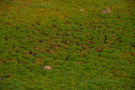 Cracked soil ground background. A closeup of cracks on ground due to drought of reservoir.