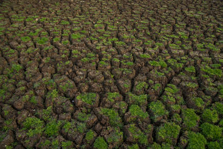 Cracked soil ground background. A closeup of cracks on ground due to drought of reservoir.の写真素材
