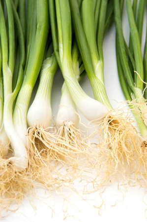 Fresh ripe green spring onions (shallots or scallions) on white background