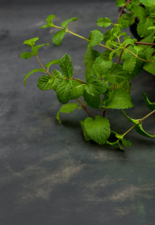 Close up of Fresh mint leaves on a stone texture background