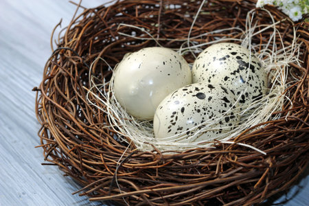 A nest with eggs on a grey background.