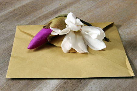 A brown envelop with Magnolia blossom flowers on a wooden background.の写真素材